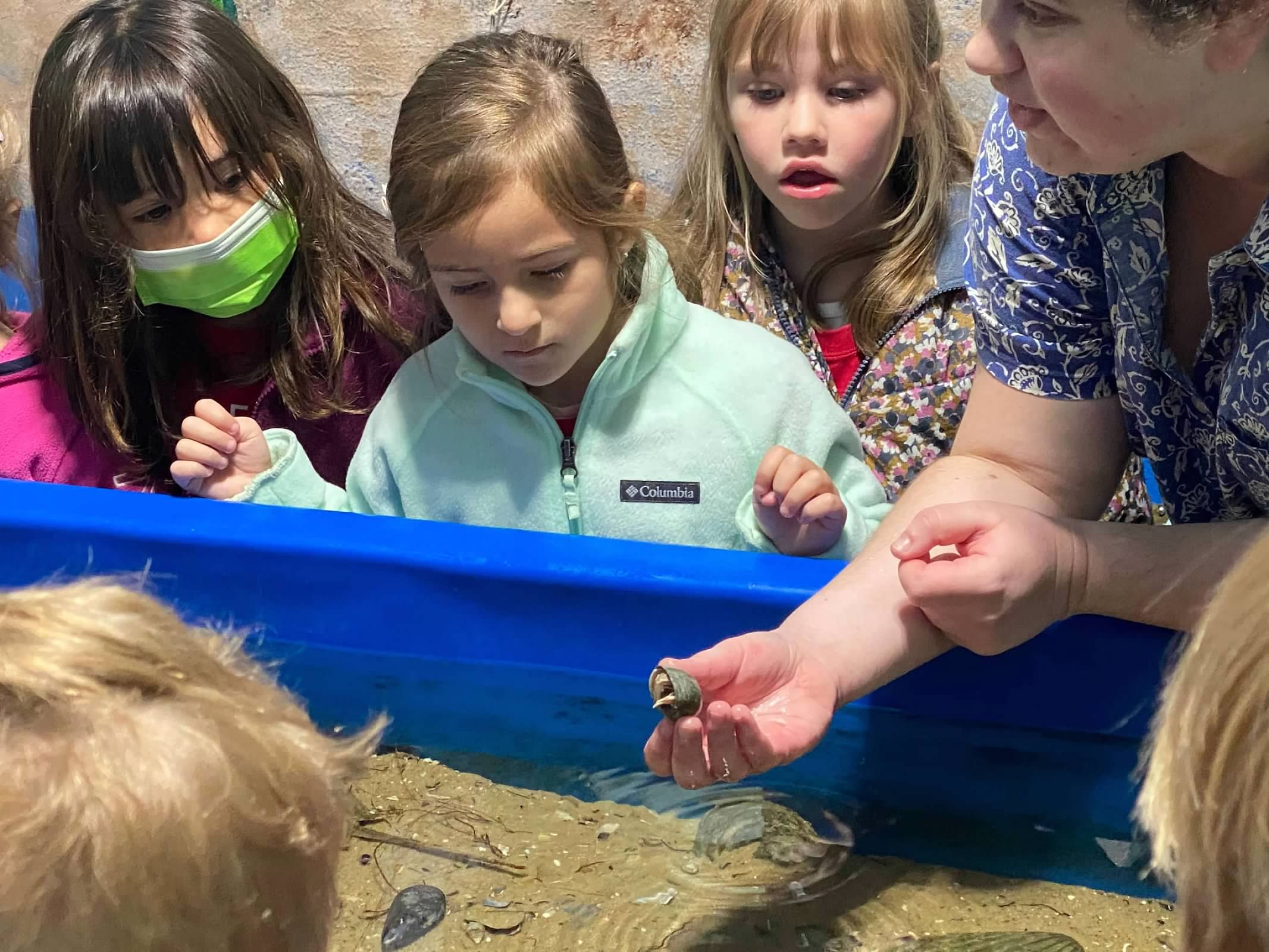 Kindergarten Ausflug zum Glen Echo Aquarium & Park German